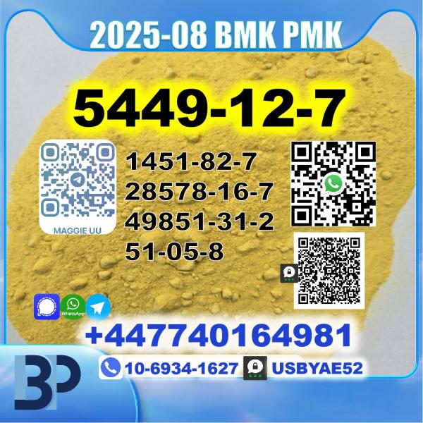 5449-12-7 BMK sodium salt PMK Source Factory picture