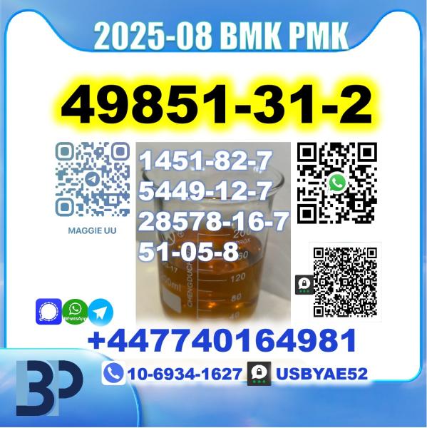 49851-31-2,2-Bromovalerophenone BMK PMK Source Factory Safe Delivery
