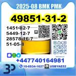 2-Bromovalerophenone 49851-31-2 pmk 28578-16-7 source factory