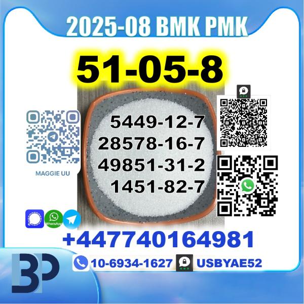 51-05-8 Procaine HCl bmk pmk Source Factory picture