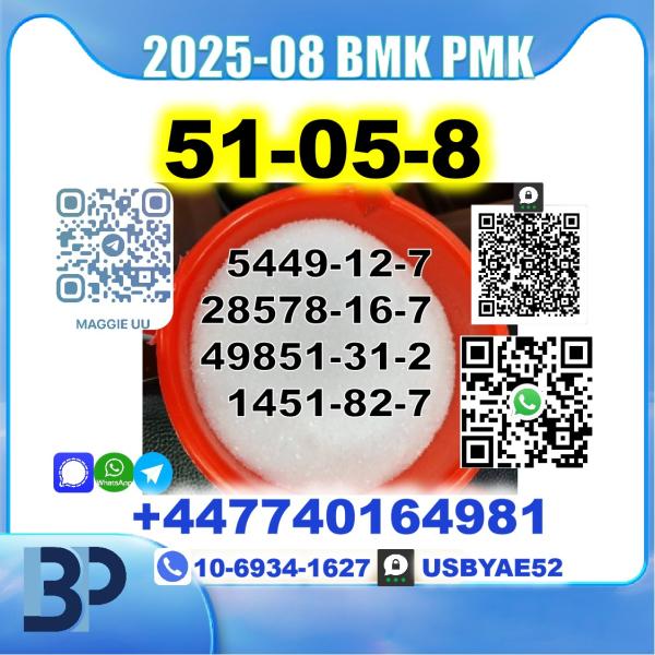 51-05-8 Procaine HCl bmk pmk Source Factory picture
