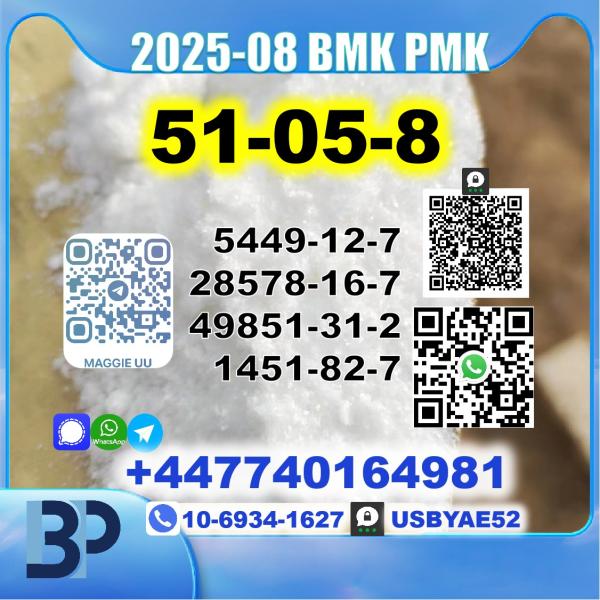 51-05-8 Procaine HCl bmk pmk Source Factory picture