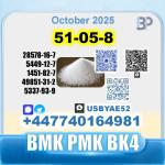 51-05-8 Procaine HCl bvf bk4/2b4m BMK pmk safe delivery