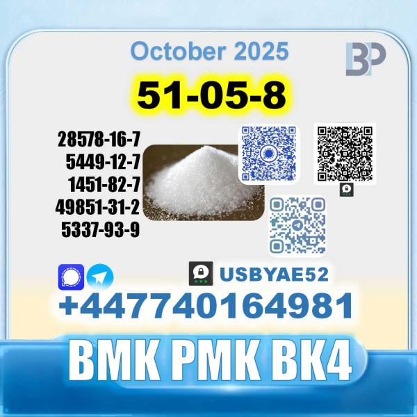 51-05-8 Procaine HCl bvf bk4/2b4m BMK pmk safe delivery