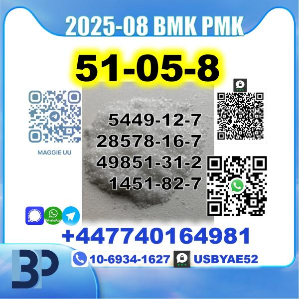 51-05-8 Procaine HCl bmk pmk Source Factory picture