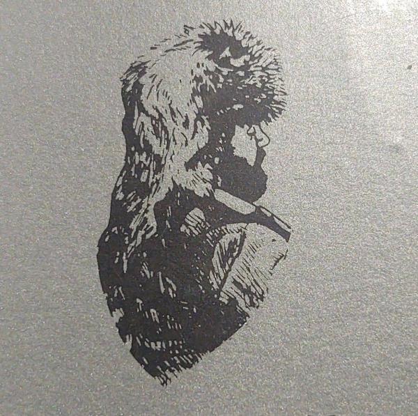 Coats Of Many Colors