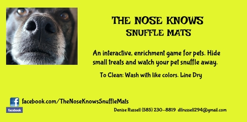 The Nose Knows Snuffle Mats