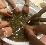 POWERFUL MAGIC LOVE SPELL CASTERS+27833895606 SPIRITUAL VOODOO SPELLS CASTER uk usa ,Italy, JaMAICA South Africa,UK,USA Gauteng, Germist