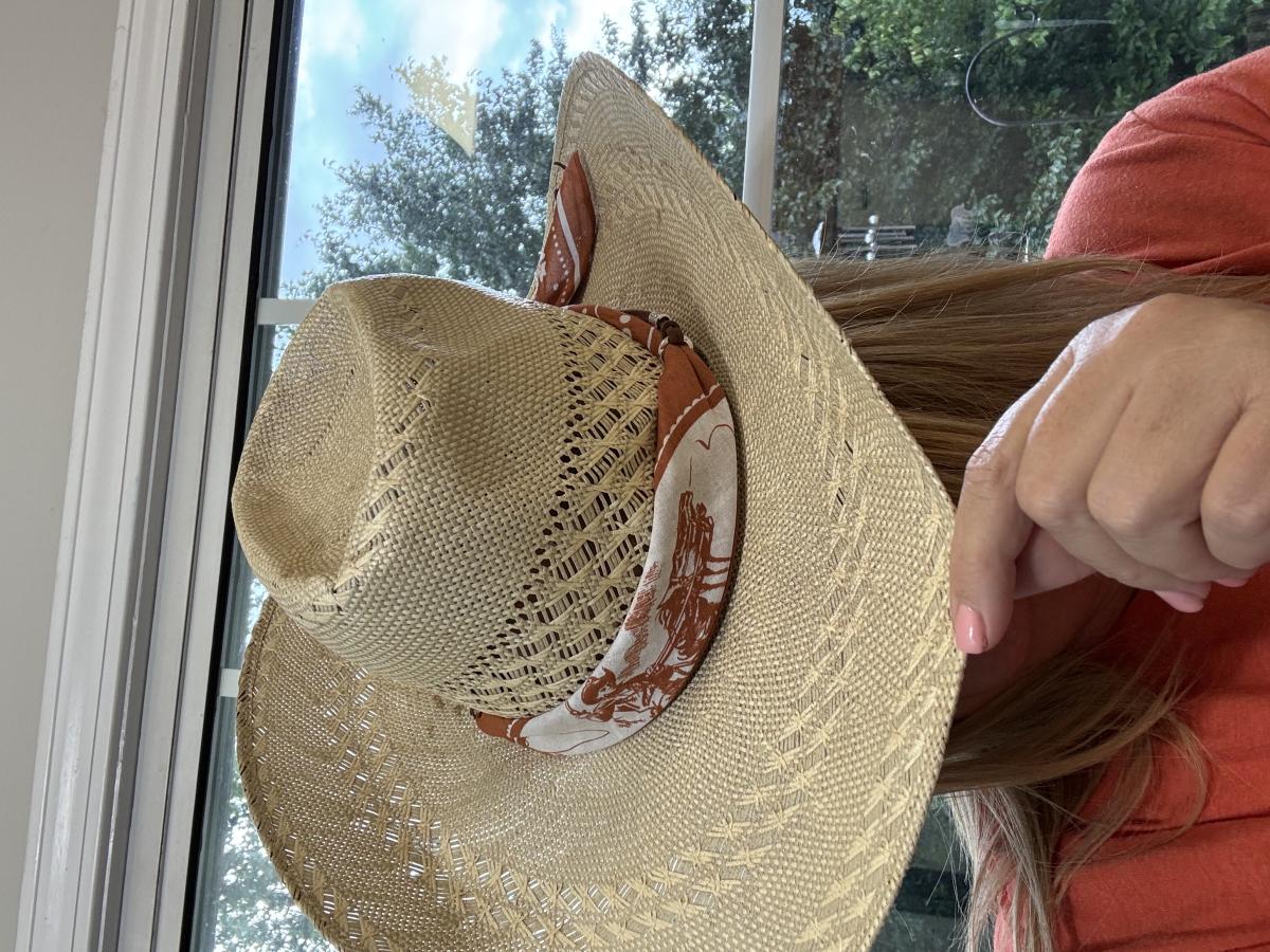 Western Hat Band picture