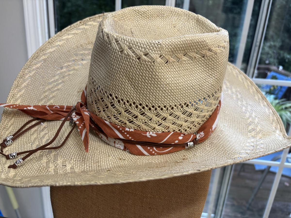 Western Hat Band picture