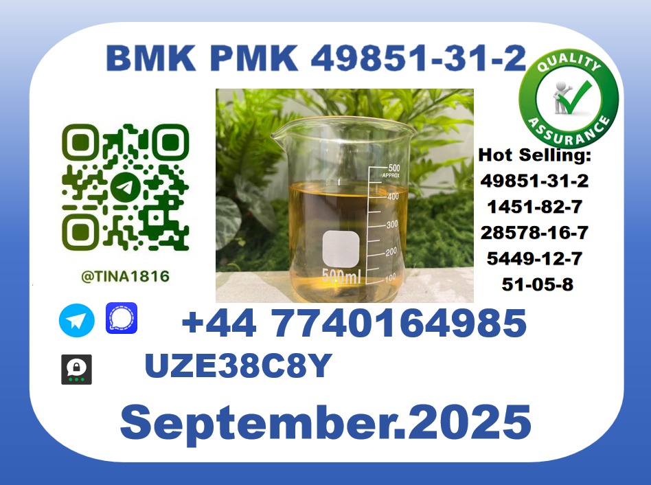 Trusted BMK PMK, CAS 49851-31-2 Precision-Sourced for Industry picture