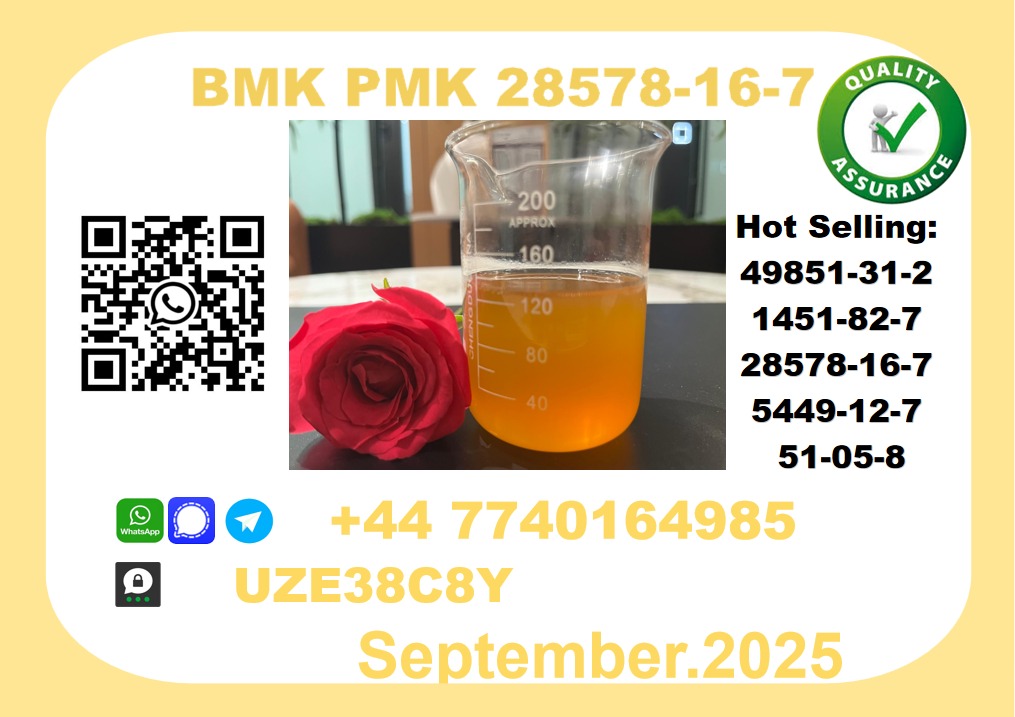 CAS 28578-16-7 BMK PMK Certified Factory Supply picture