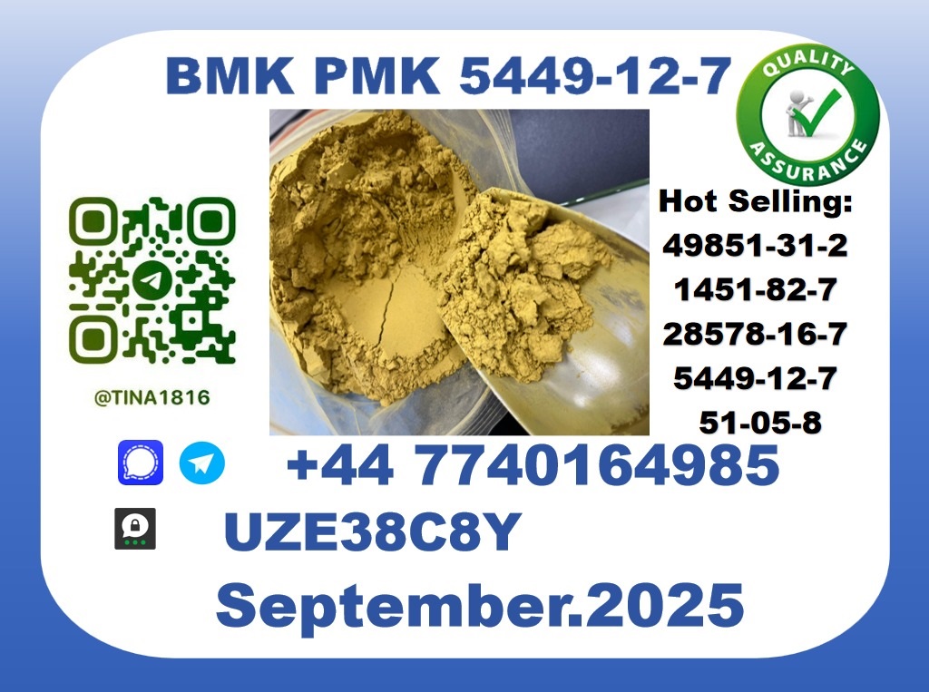 BMK PMK,5449-12-7 Chemical raw materials picture