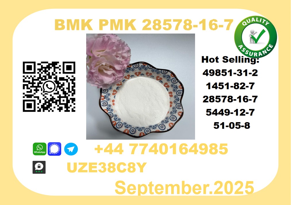 CAS 28578-16-7 BMK PMK Certified Factory Supply picture