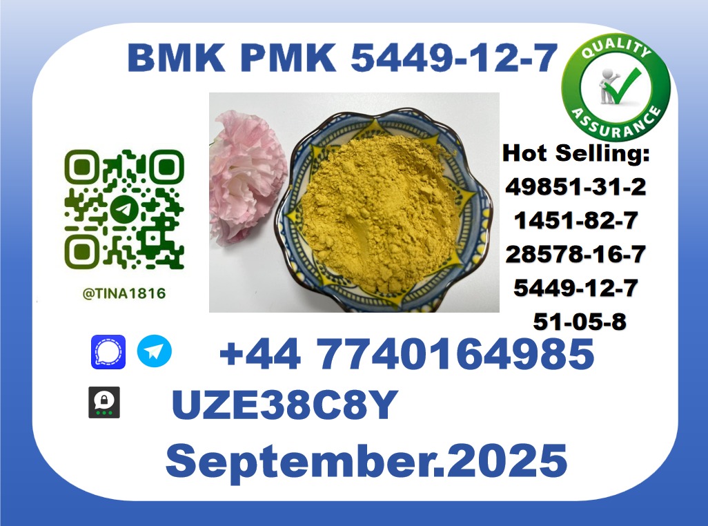 BMK PMK,5449-12-7 Chemical raw materials picture