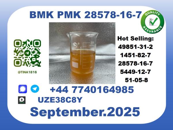 CAS 28578-16-7 BMK PMK Certified Factory Supply