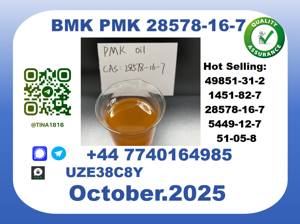 CAS 28578-16-7 B.M.K P.M.K Certified Factory Supply picture