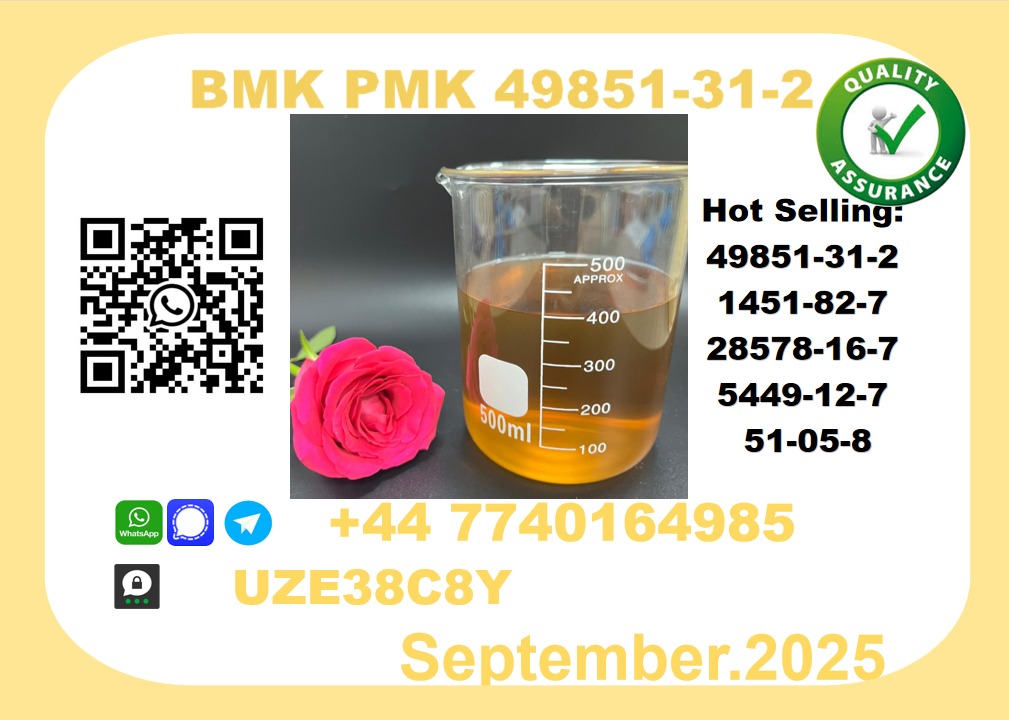 Trusted BMK PMK, CAS 49851-31-2 Precision-Sourced for Industry picture