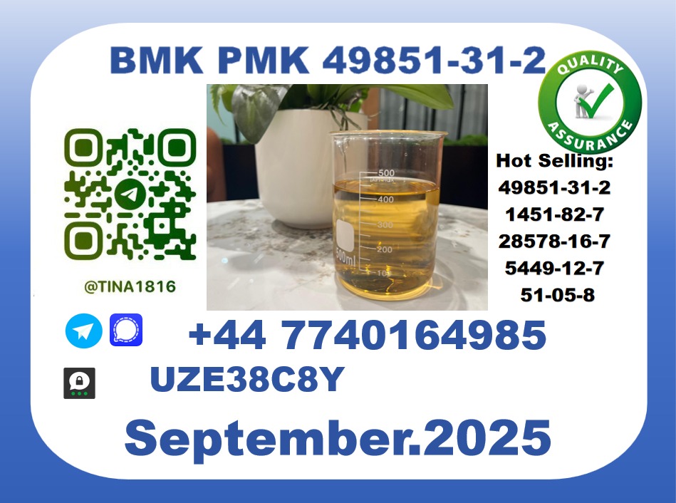 Trusted BMK PMK, CAS 49851-31-2 Precision-Sourced for Industry picture