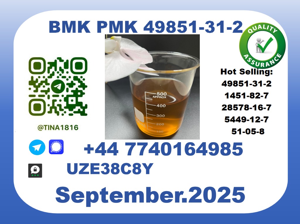 CAS 49851-31-2， BMK PMK Certified Factory Supply picture