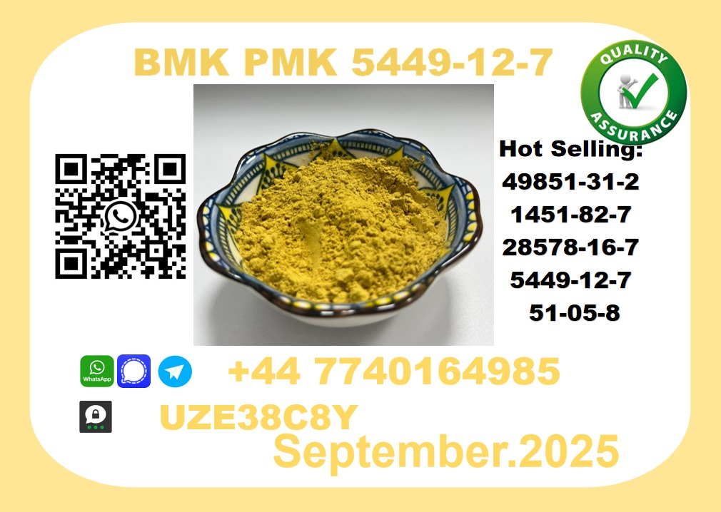 BMK PMK,5449-12-7 Chemical raw materials picture