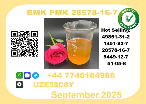 CAS 28578-16-7 BMK PMK Certified Factory Supply
