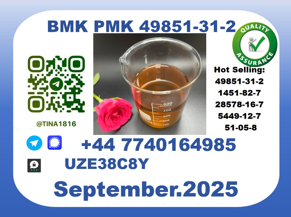 Trusted BMK PMK, CAS 49851-31-2 Precision-Sourced for Industry picture