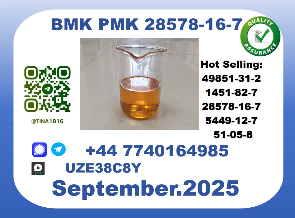 CAS 28578-16-7 BMK PMK Certified Factory Supply picture