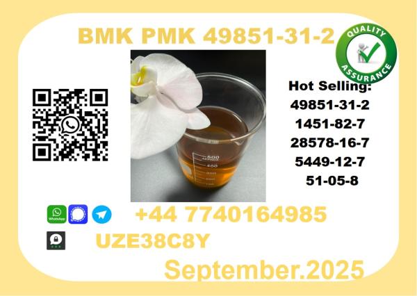 Trusted BMK PMK, CAS 49851-31-2 Precision-Sourced for Industry