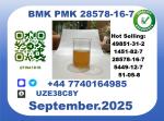 CAS 28578-16-7 BMK PMK Certified Factory Supply