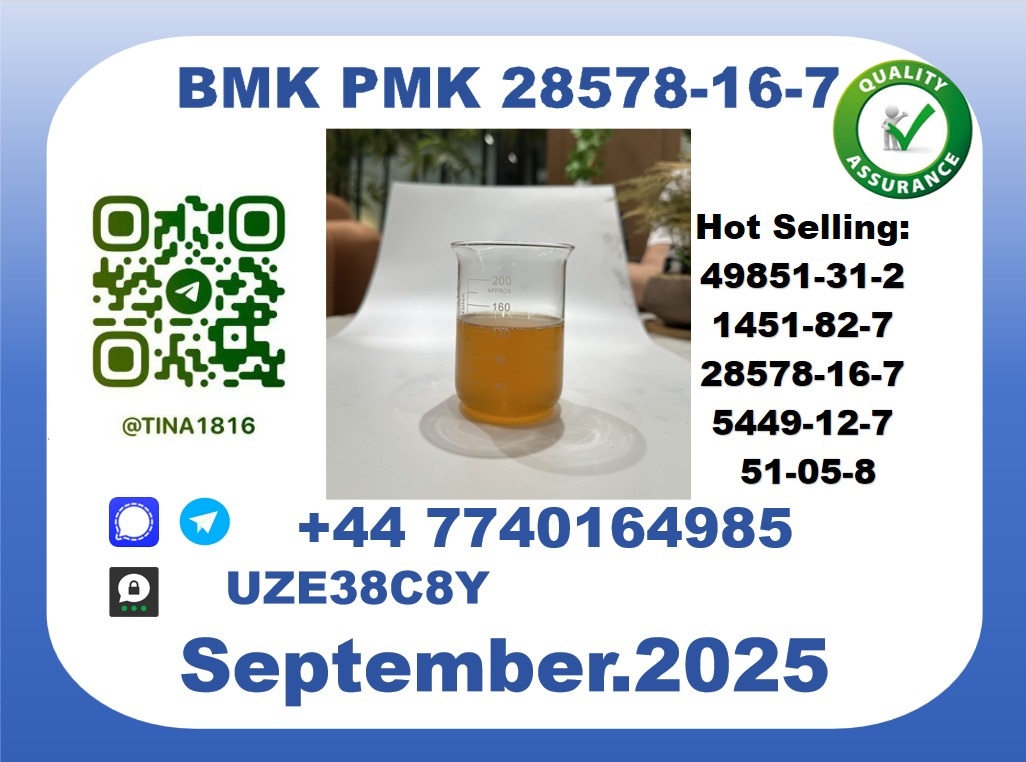 Trusted BMK PMK, CAS 49851-31-2 Precision-Sourced for Industry picture