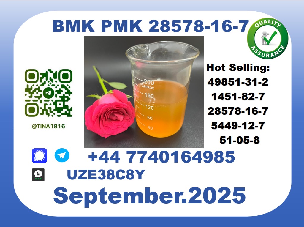 Trusted BMK PMK, CAS 49851-31-2 Precision-Sourced for Industry picture