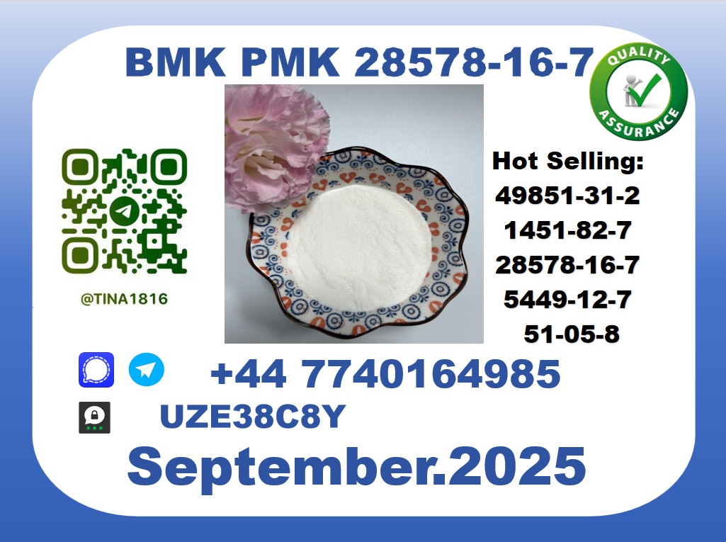 CAS 28578-16-7 BMK PMK Certified Factory Supply picture