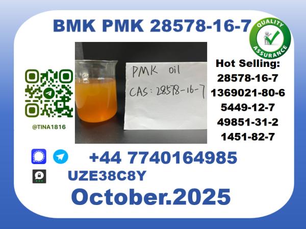 CAS 28578-16-7 BMK PMK Certified Factory Supply