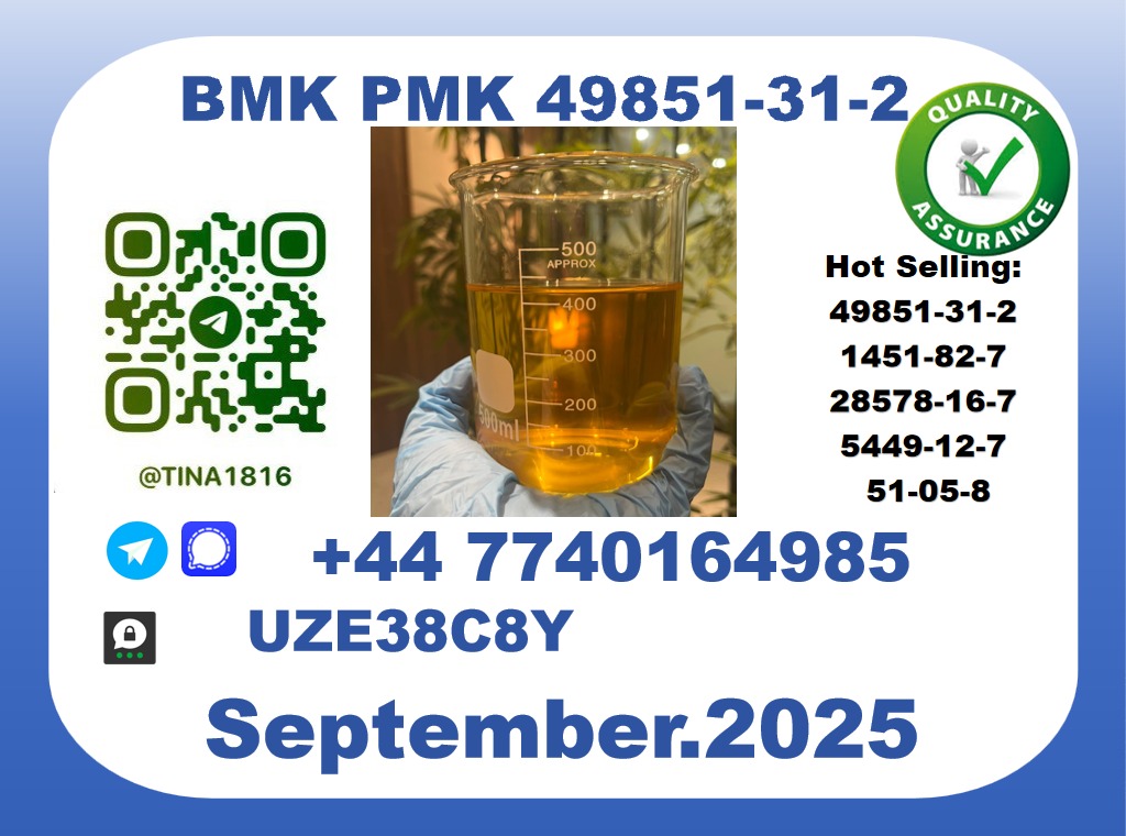 Trusted BMK PMK, CAS 49851-31-2 Precision-Sourced for Industry picture