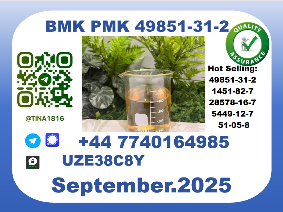 Trusted BMK PMK, CAS 49851-31-2 Precision-Sourced for Industry picture