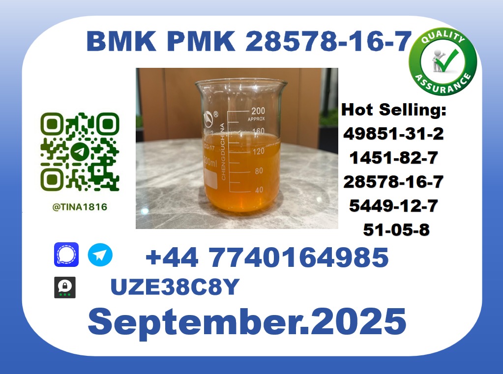 CAS 28578-16-7 BMK PMK Certified Factory Supply picture