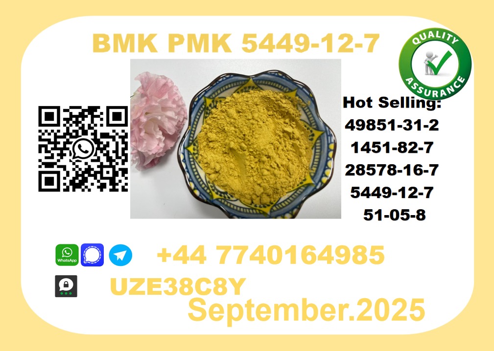BMK PMK,5449-12-7 Chemical raw materials picture