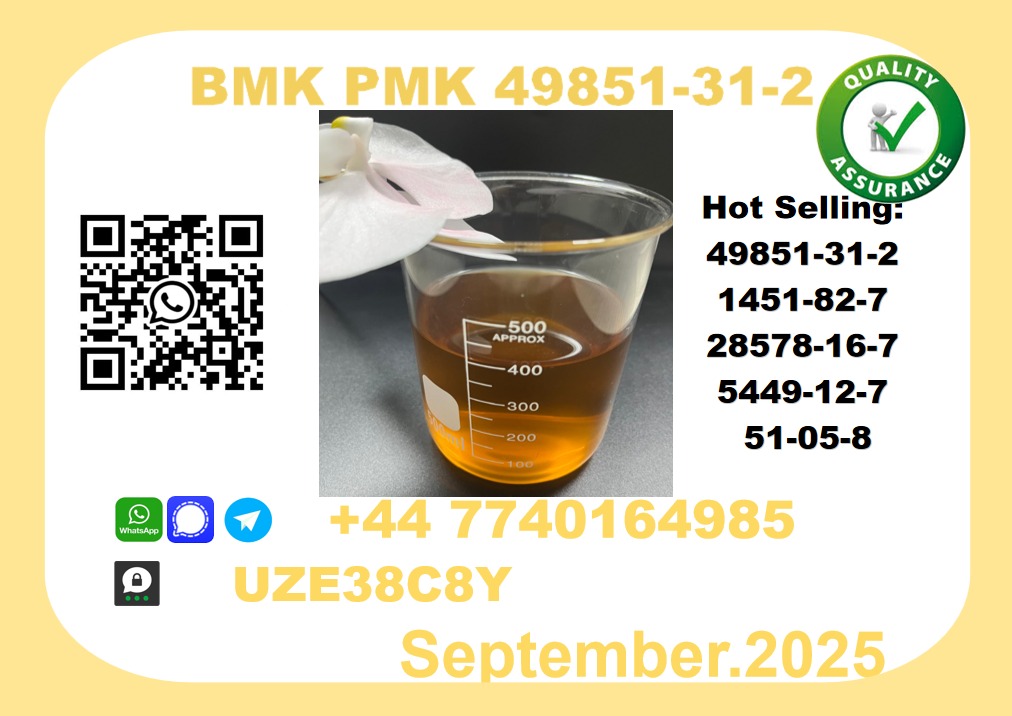 Trusted BMK PMK, CAS 49851-31-2 Precision-Sourced for Industry picture