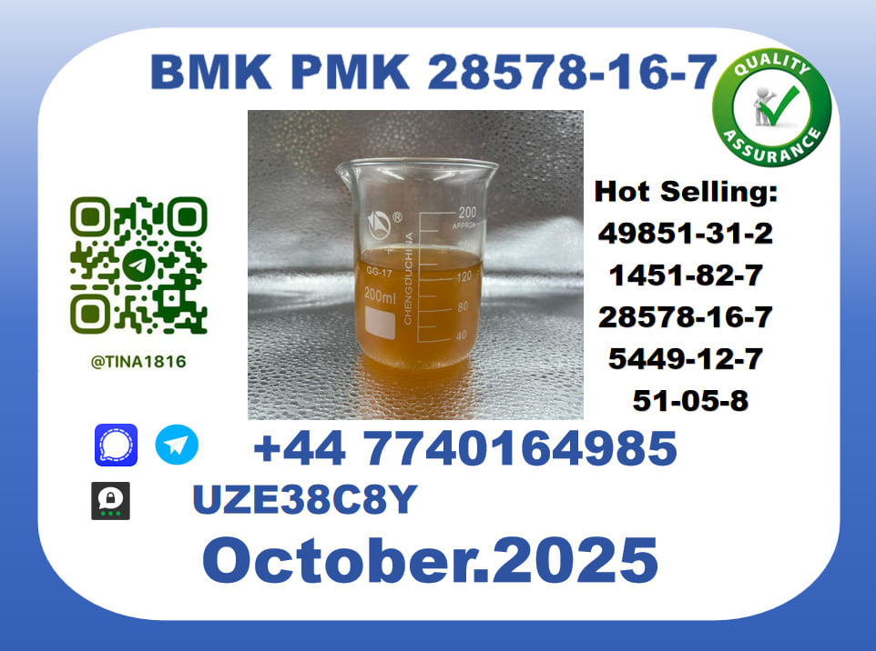 CAS 28578-16-7 B.M.K P.M.K Certified Factory Supply picture