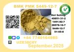 BMK PMK,5449-12-7 Chemical raw materials