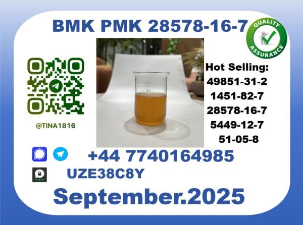CAS 28578-16-7 BMK PMK Certified Factory Supply