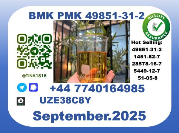 Trusted BMK PMK, CAS 49851-31-2 Precision-Sourced for Industry