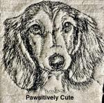 Pawsitively Cute