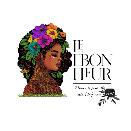Le Ebon Fleur, llc