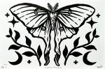 Luna Moth