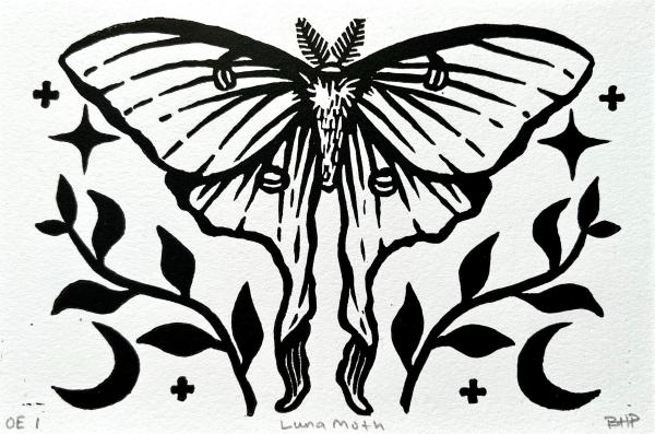 Luna Moth