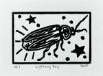 Lightning Bug