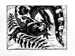 Marbled Salamander