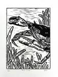 Blue Crab